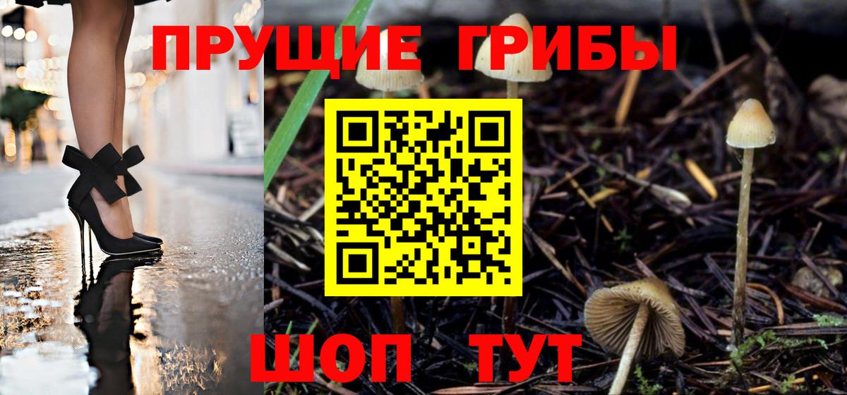 Саянск  Псилоцибиновые грибы MAGIC MUSHROOMS  Вход с VPN 