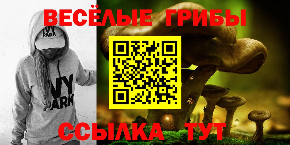 Псилоцибиновые грибы Psilocybine cubensis Саянск